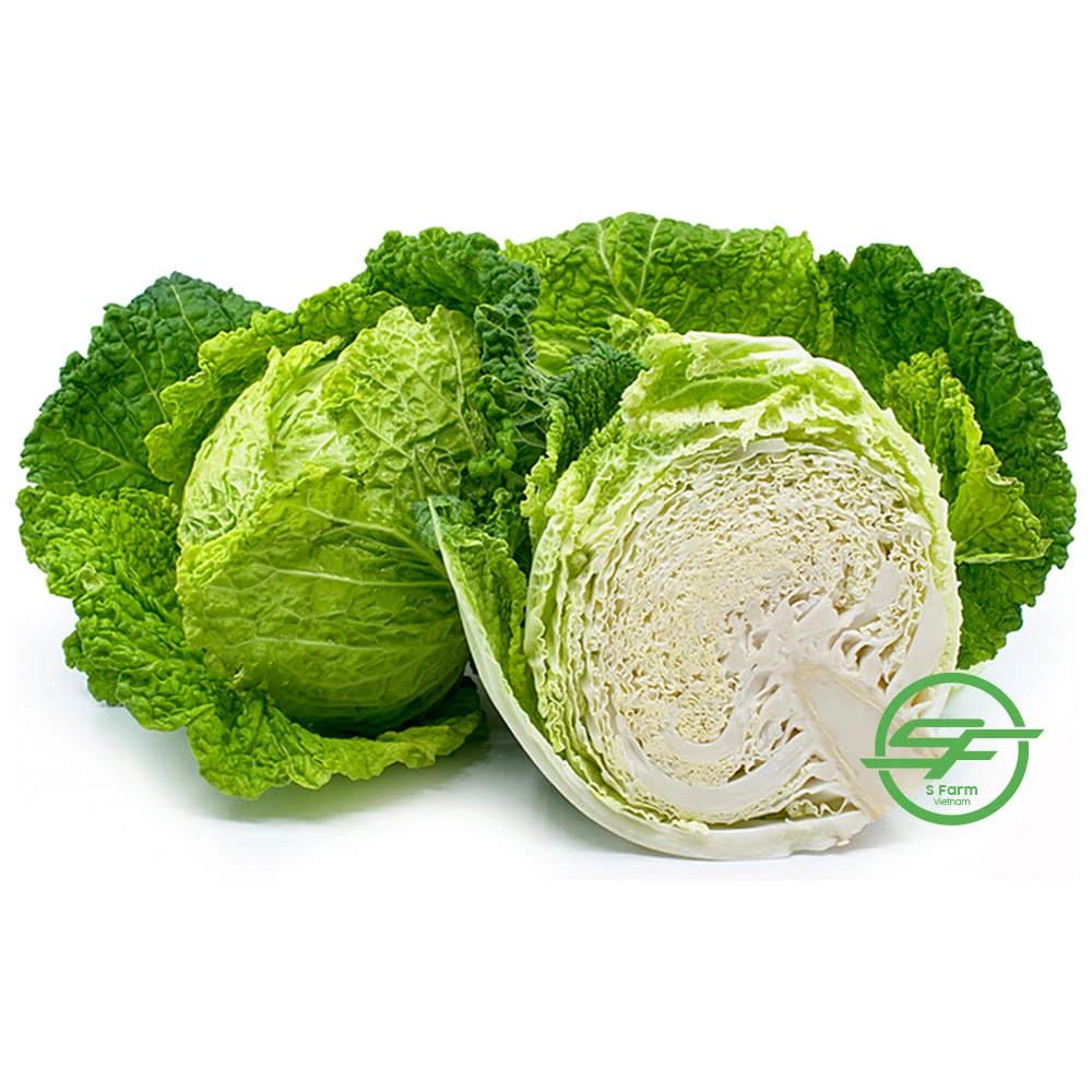 Оптовая продажа свежей капусты хорошие цены