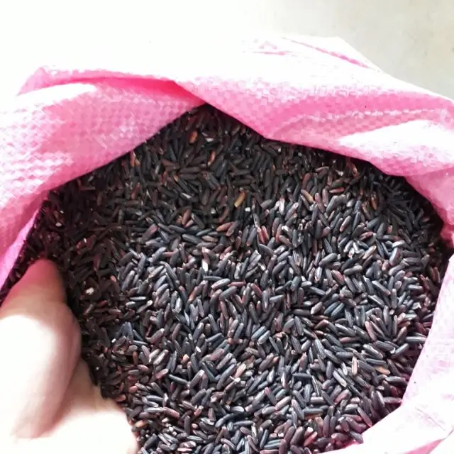Very Cheap Price of Five Percentage Sortext Long Grain Black Rice from Vietnam