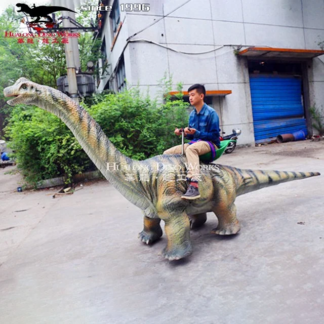  Amusement park train rides for