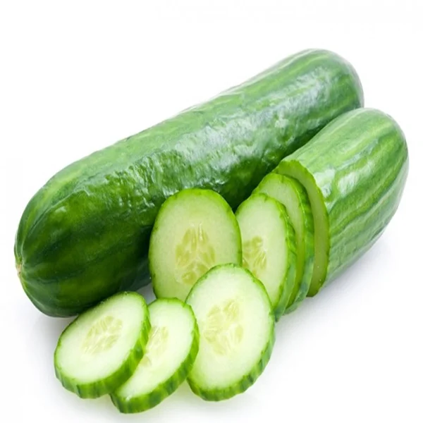 
High Quality Fresh Cucumber/Frozen Cucumber/Sea Cucumber 