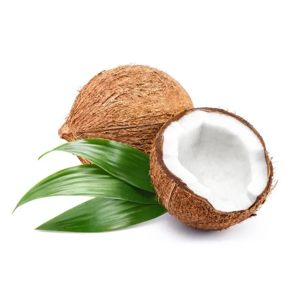 Organic Natural Coconut Dry Fruit Bulk Wholesale Fresh Mature Coconut Crop Sweet Water Semi Husked Coconut From Bangladesh