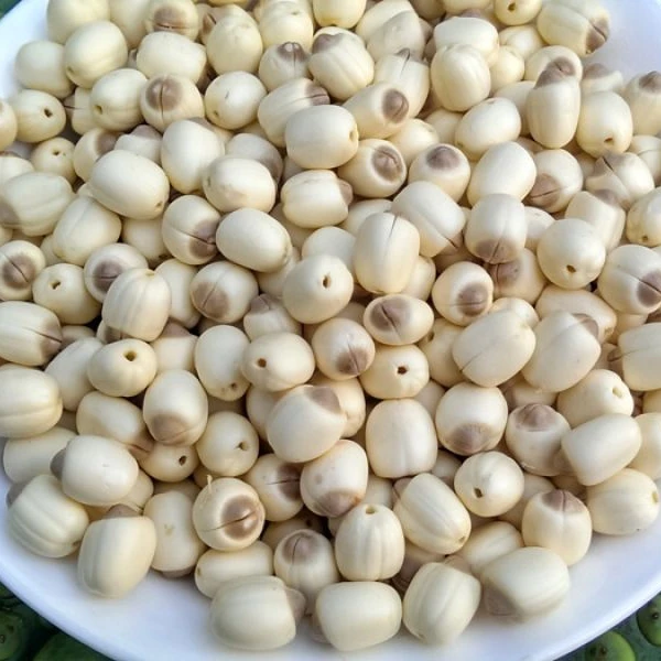 Dried White Lotus Seed Best Price 2020
