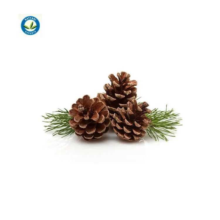 100% Original Quality Natural Pine Sylvestris Oil for Bulk Purchaser