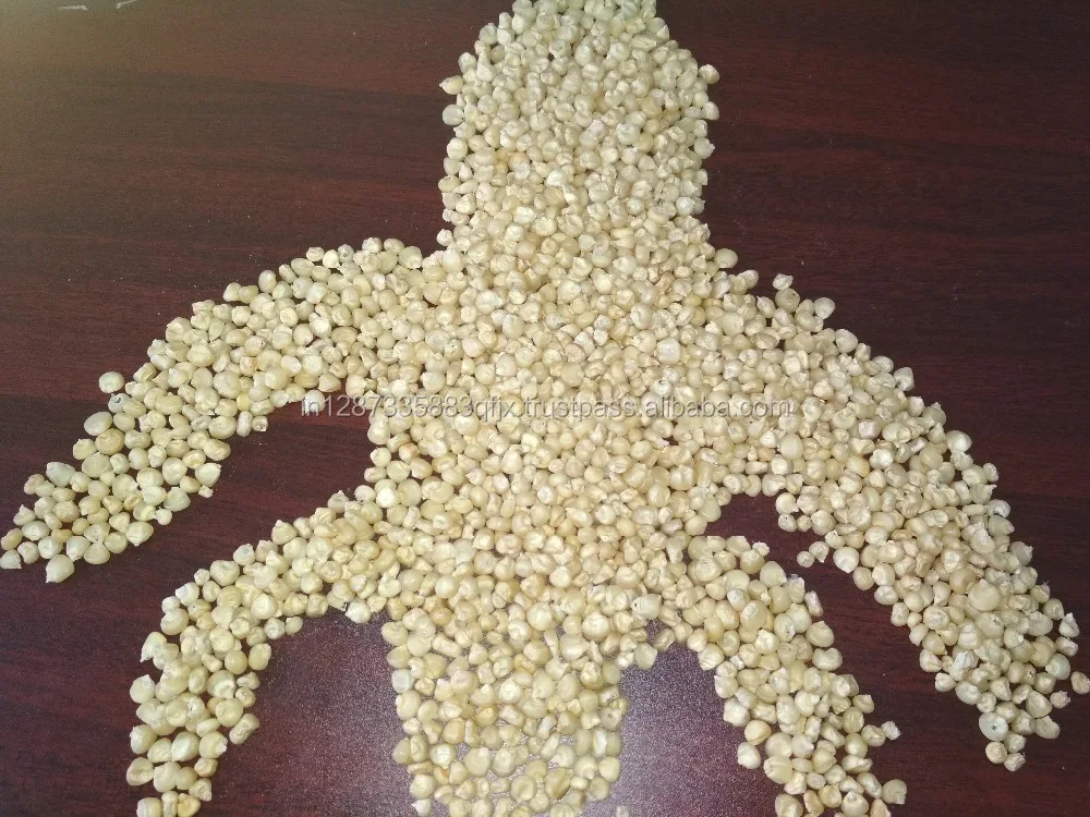 
Top grdae Animal Feed White Maize For Sale 