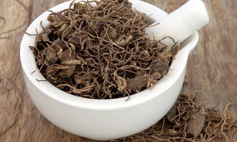 
Organic Greek Black Cohosh Tablets 600mg Enhance Muscular Strength Actaea Racemosa Dried Herb Black Cohosh Nutritional Tablet 