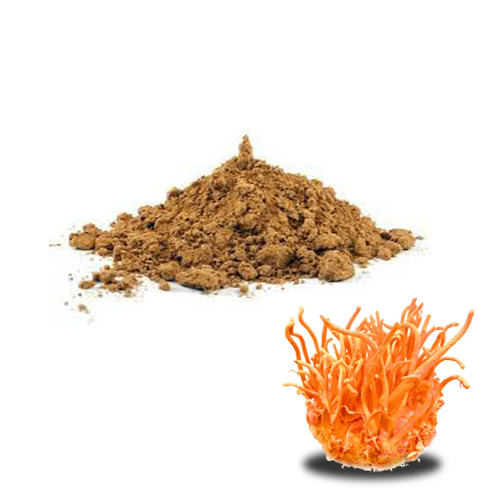 
 Лучшая цена Cordycepin Кордицепс порошок экстракта растительный экстракт порошок  