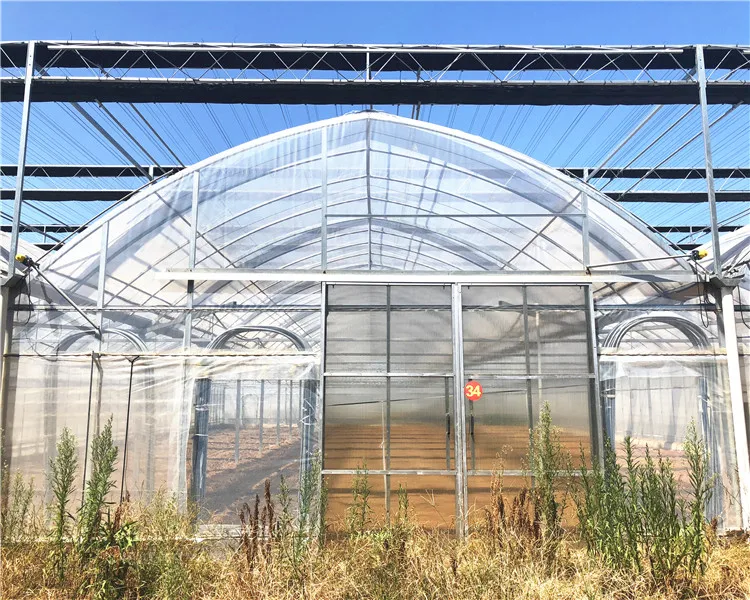 Green Houses Agriculture Easily Assembled Poly Tunnel Agriculture Greenhouse For Sale