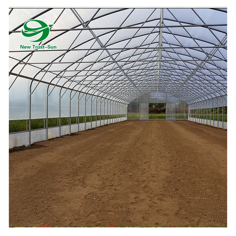 
low cost Pe plastic Film Tunnel Single-span mini hydroponic Greenhouses 