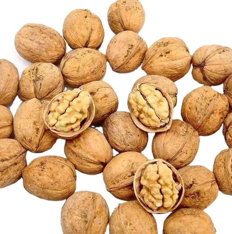 
Walnut In Shell And Ukraine Walnut Kernel 