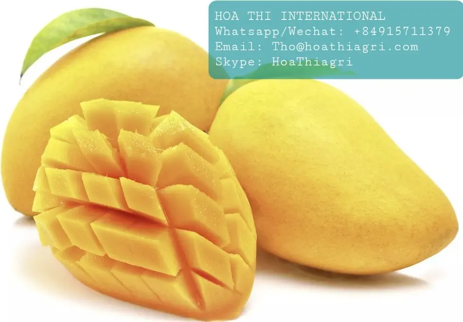 Common Cultivation  Type Green High Quality Fresh Mango Fruit 8Kgs/Carton Best Price Origin From Vietnam