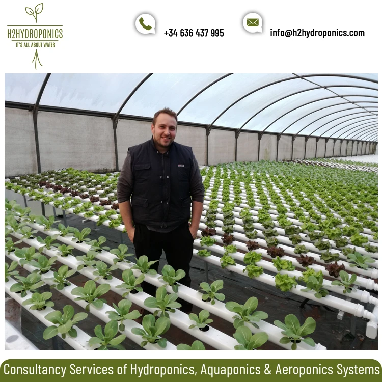 Extremely Qualified Hydroponics/Aquaponics Project Consultation Service