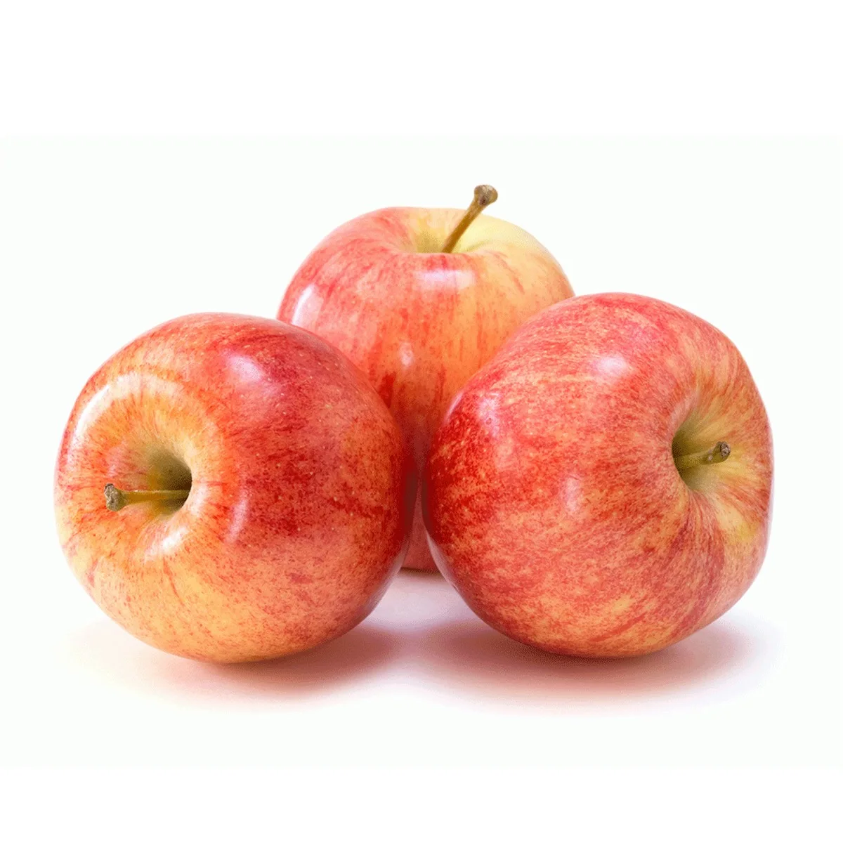 
FRESH FRUITS Pink Lady High Qualified APPLES 