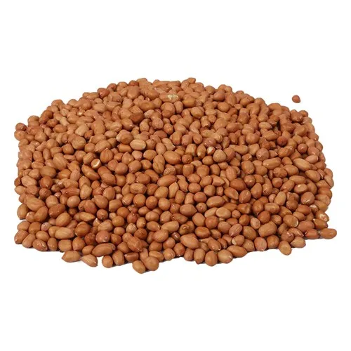 
GROUNDNUT KERNELS BOLD 70/80 FROM NIK-MAY EXPORTS INDIA 