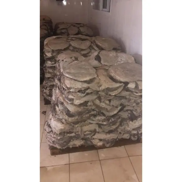 Лучшее качество говядины и буйвола Omasum доступно для покупателей