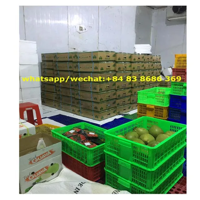  Полуочищенный кокос из Вьетнама по самой низкой цене для оптовых продаж whatsapp/wechat + 84 83 8686