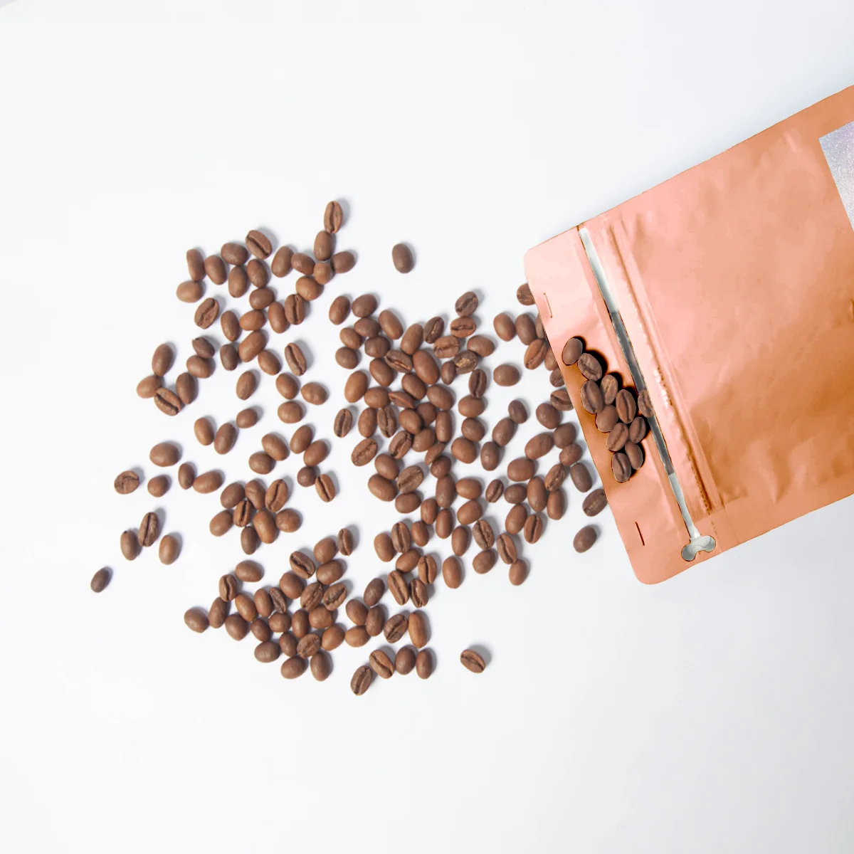 Single Origin Kenya AA FAQ wholesale whole bean coffee supplier arabica coffee bean price