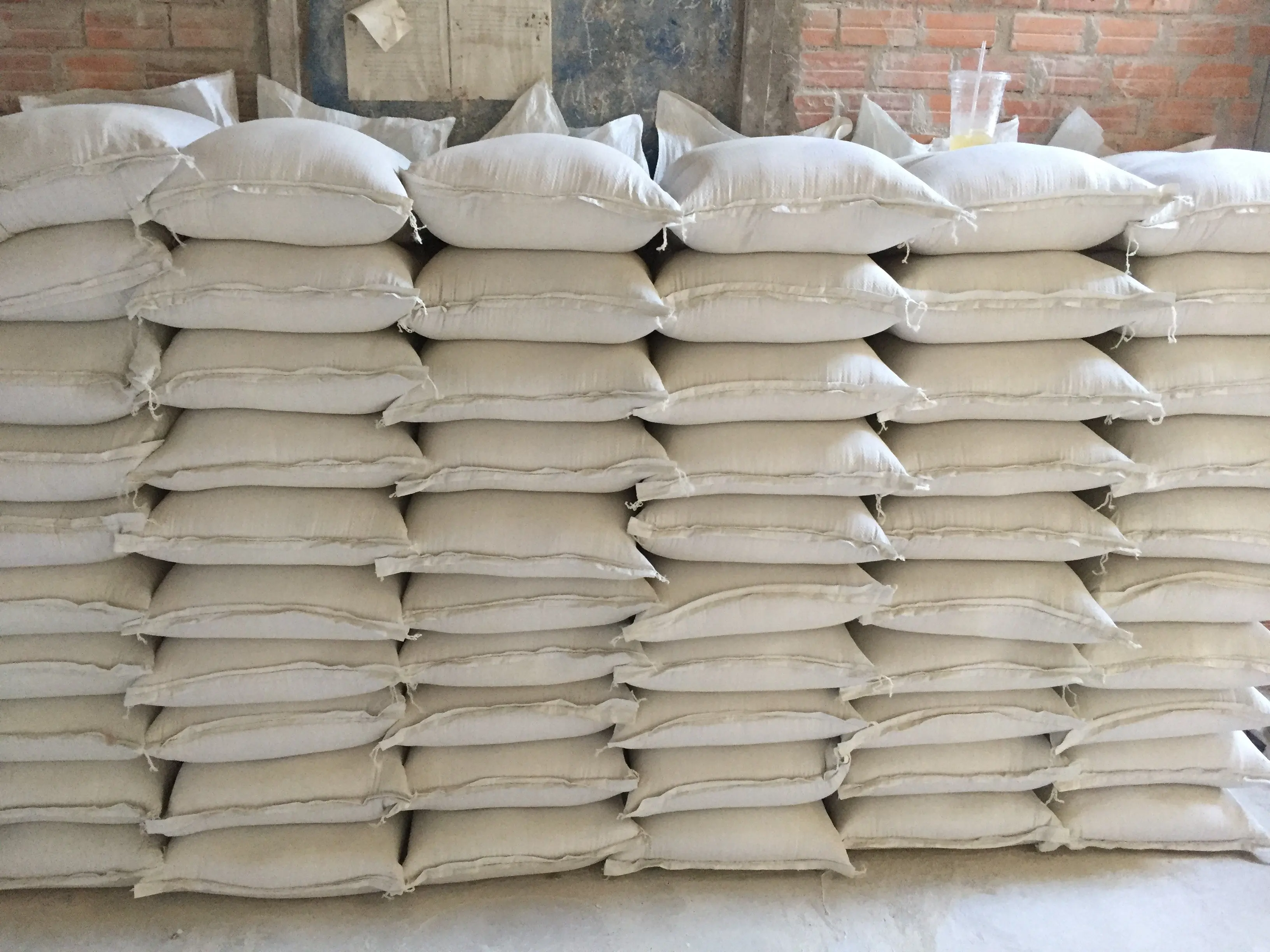 Лучшая цена на морскую скорлупу/морские скорлупы для еды Вьетнамом/мисс нари (+ 84 904 183 651)