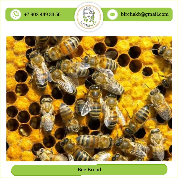 Longer Shelf Life of Pure & Natural Bee Bread Block in Affordable Price