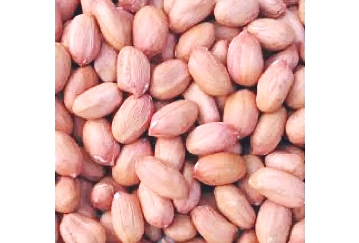 Свежий арахис