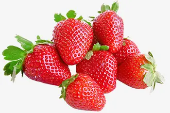 Export Grade Strawberry Premium grade from Thailand by SP Organic International Best Seller