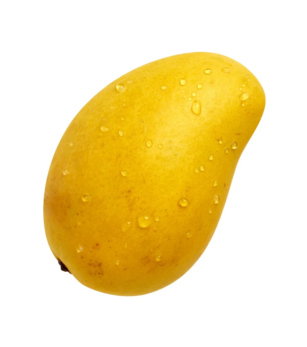 Best Seller Export Quality Fresh  Mangos Fruit Thailand