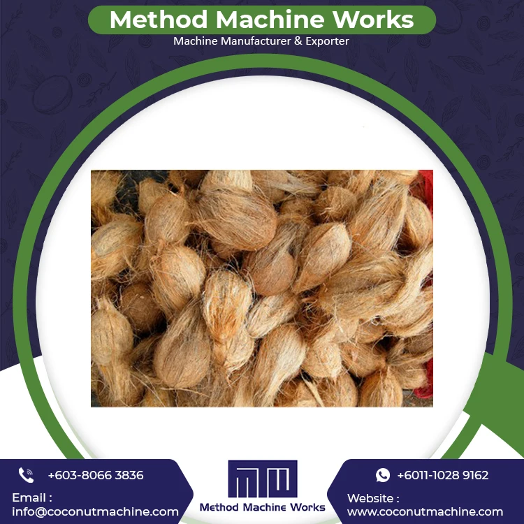 Fresh Organic Dehusked Coconuts for Sale Cheap Price Young Coconut Dehusking Supplier in Malaysia