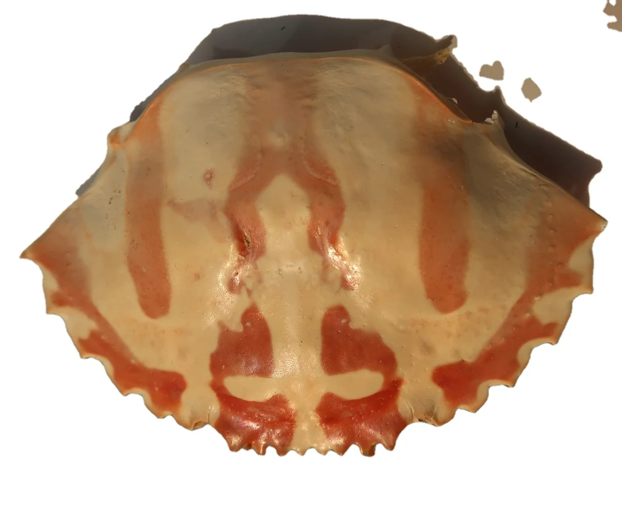
Dried Crab shell for food Stuffed - CHARYBDIS NATATOR SHELL BIG SIZE FROM NATURAL SEA 