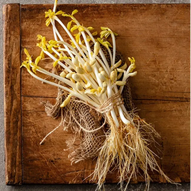  Vegan Milk Peanut plant based milk drink Vega