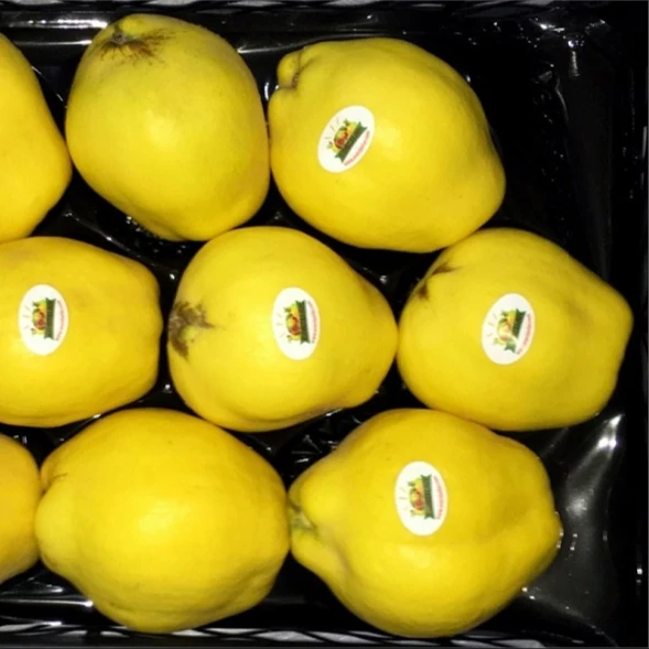 
Fresh Quince Fruit(Mandarin Orange). 