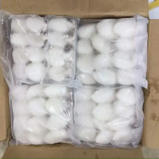 
FROZEN BABY CUTTLEFISH FROM VIET NAM 