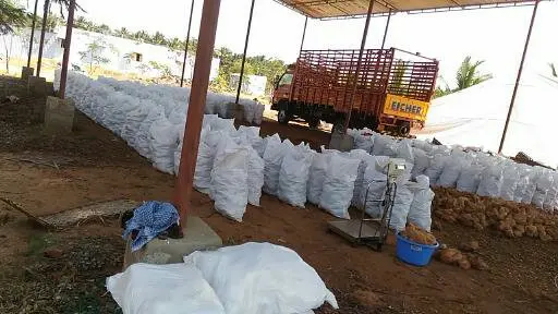 brazil nut / Coconut / semi husk coconut  we supply mature nuts  with regular packing and customised packing