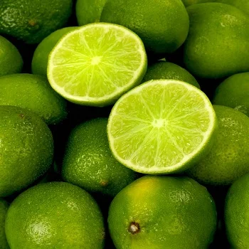 
Premium Quality Fresh Cirtrus Lemon and Lime 