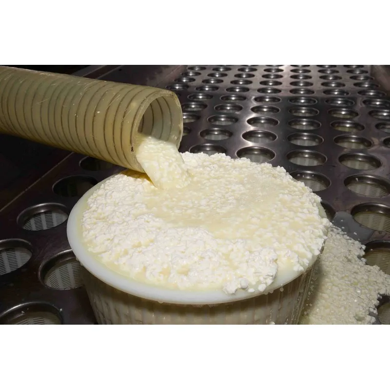 High Quality Italian CACIOTTINA cheese 0.4kg for export