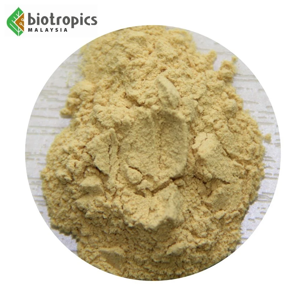 New Tongkat Ali 100% Root Extract Powder from Malaysia Halal Ready to Formulate into Food & Drinks