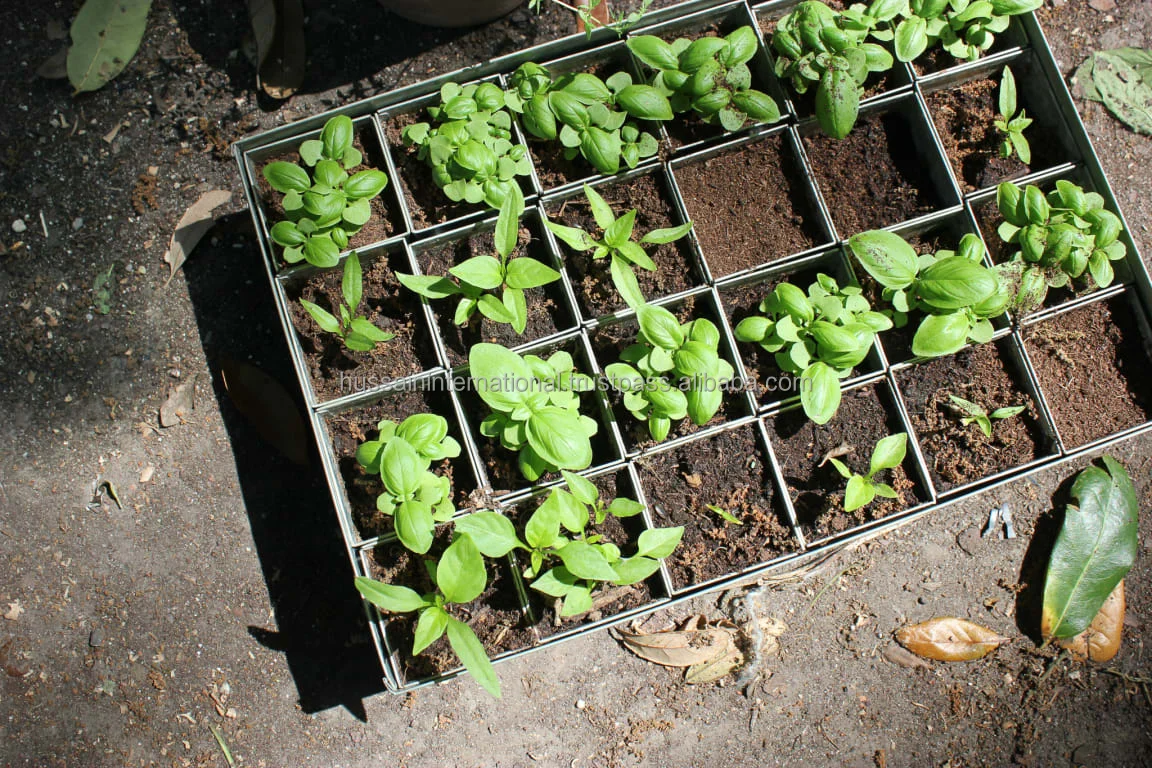 Galvanized Metal Seed Germination\Starting Tray