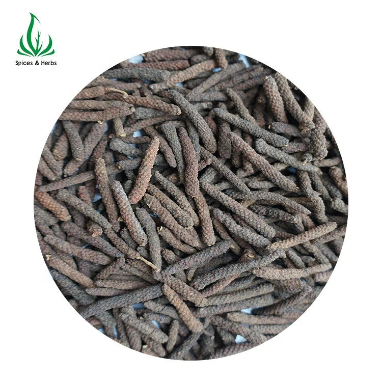 
China Spices&seherbs raw material supplier wholesales pippali spice indian long pepper pippali herb with high quality& low price 