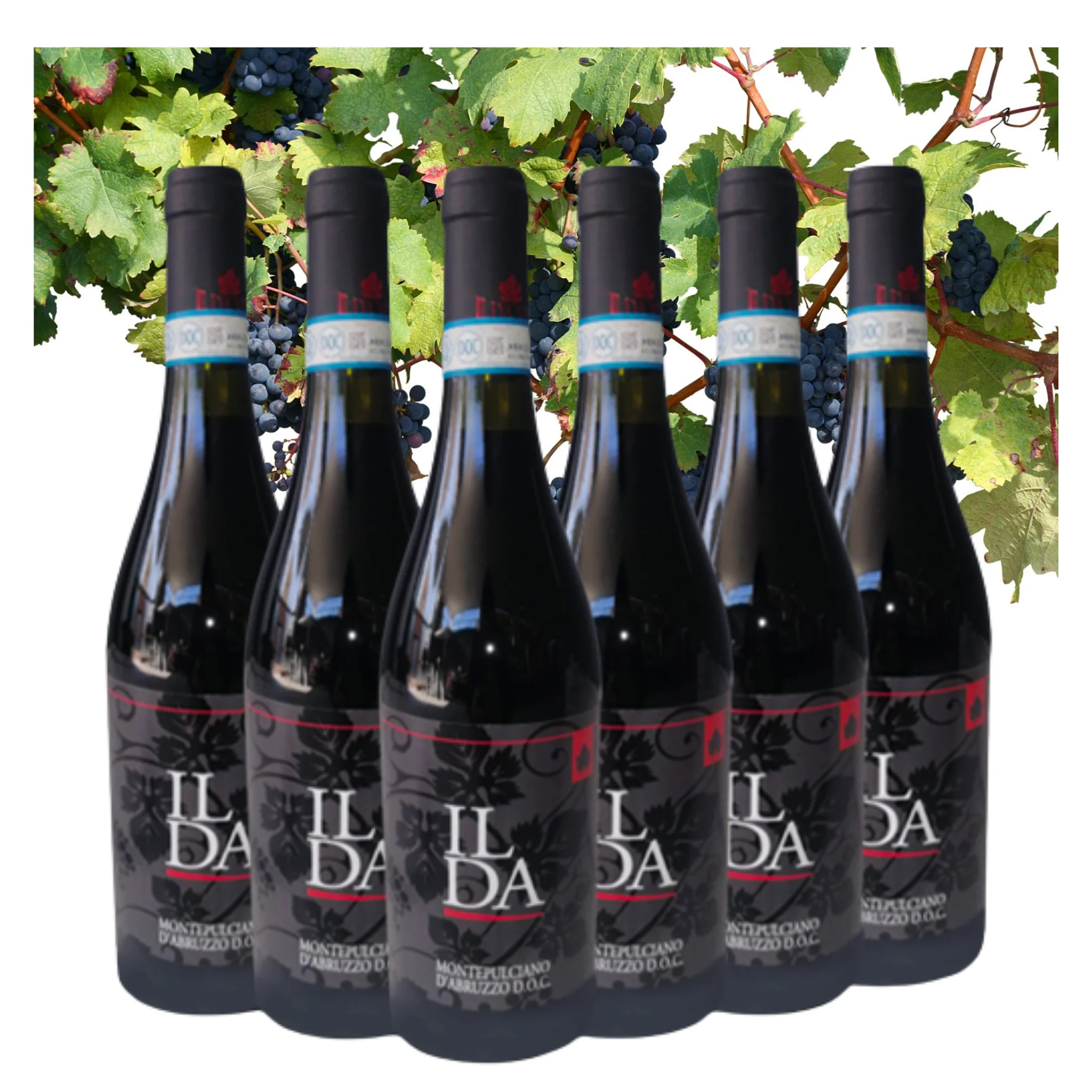 Высококачественное итальянское красное вино-Montepulciano D 2019 Ilda-бутылки для красного вина на продажу 750 мл алкоголя 13.% для экспорта