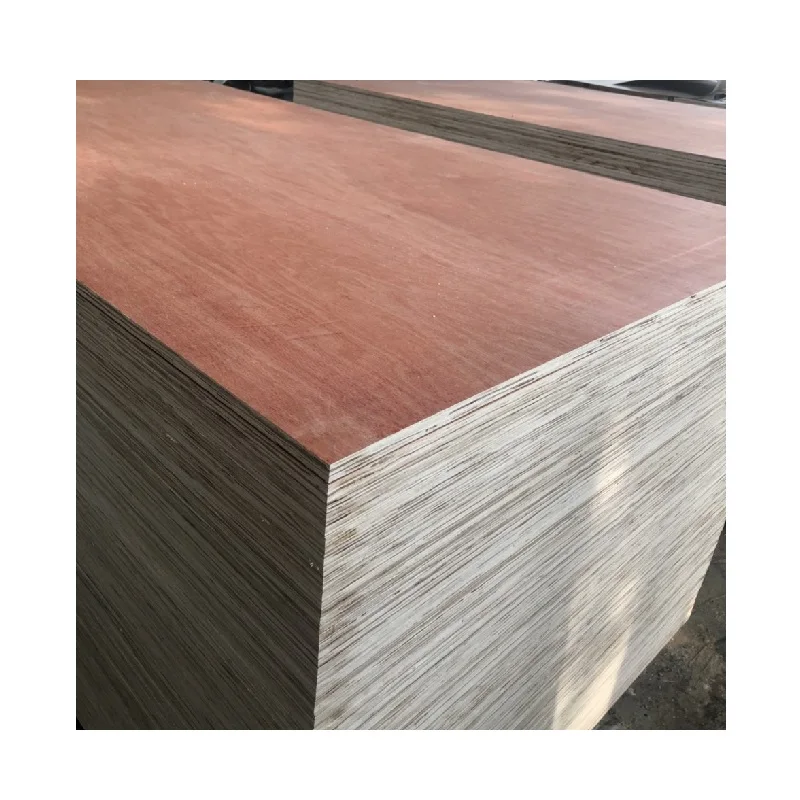 18mm Bintangor Plywood Commercial Plywood Cheap Plywood From Vietnam Manufacturer