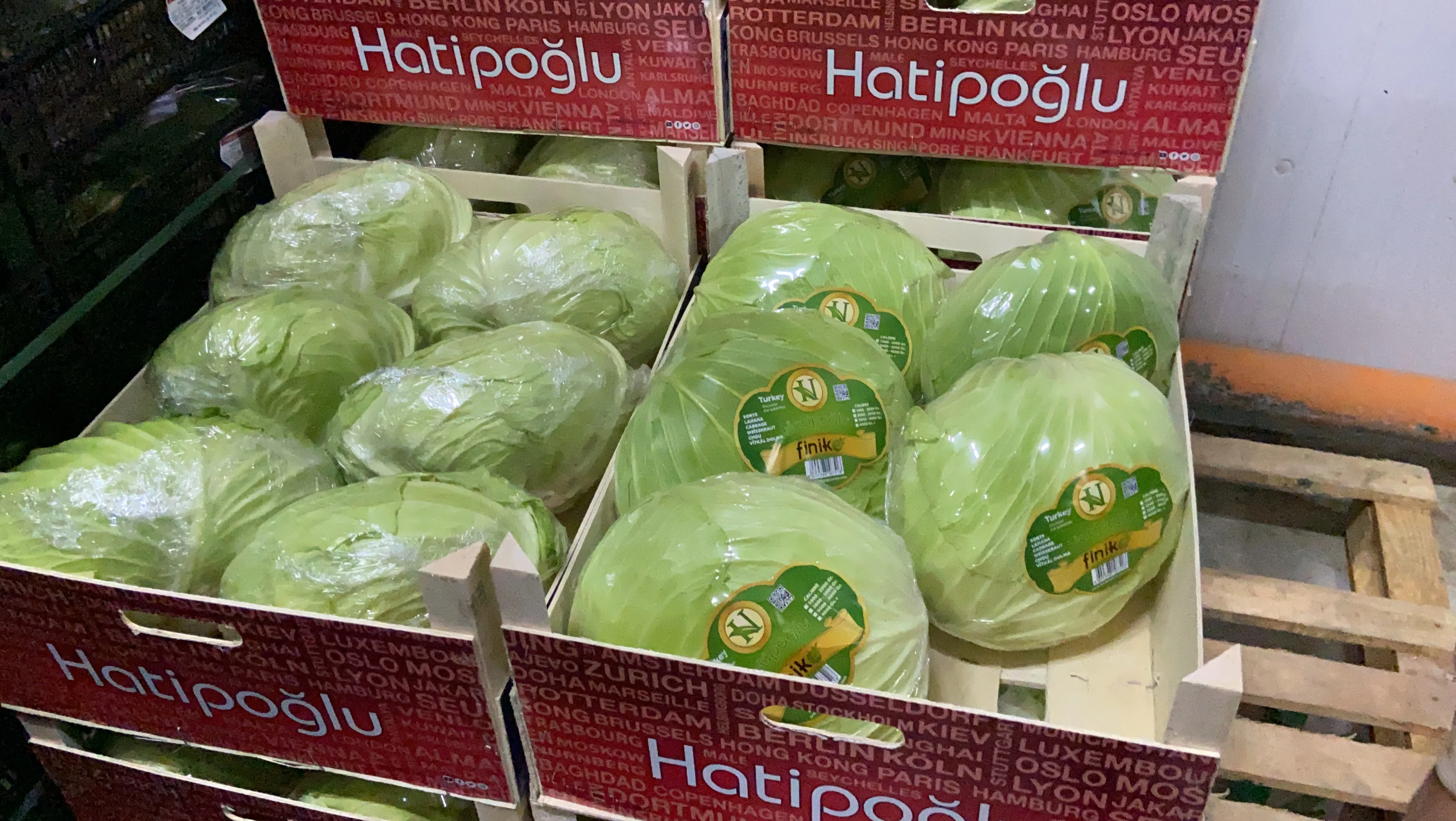 Fresh Cabbage from TURKEY in Cardboard Packs  Best Price Cabbage
