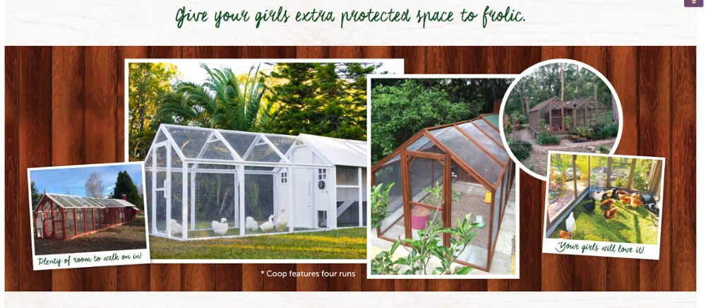 custom design OEM industrial Ventilation Door Removable Tray Ramp Wooden Large pet cage broiler Chicken Coop With Run