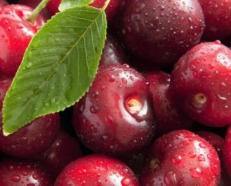 
Wholesale cherry fresh with great quality 