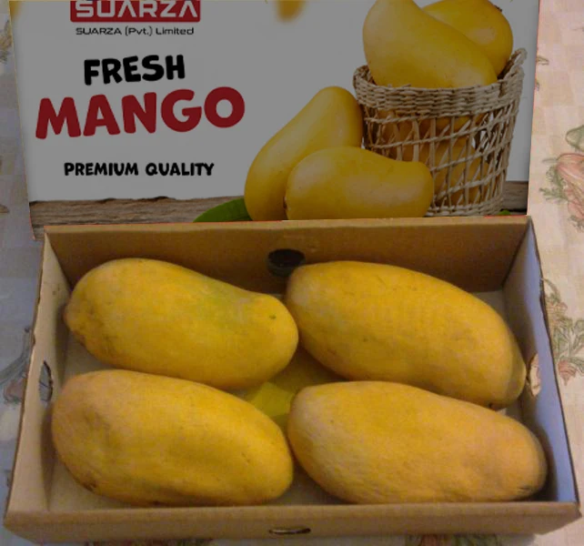 4 mango image.jpg