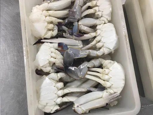 Frozen and Live Crabs / Blue Swimming Crabs  / Live Mud Crab Whole Round