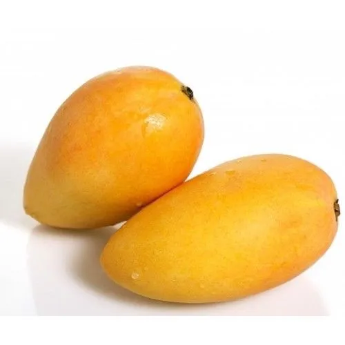 
FRESH SWEET GREEN YELLOW alphonso mango FOR SALE 