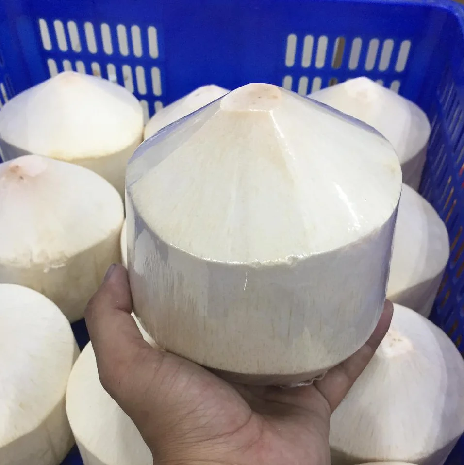 
DIAMOND COCONUT MADE IN VIETNAM +84916611103 whatsapp 