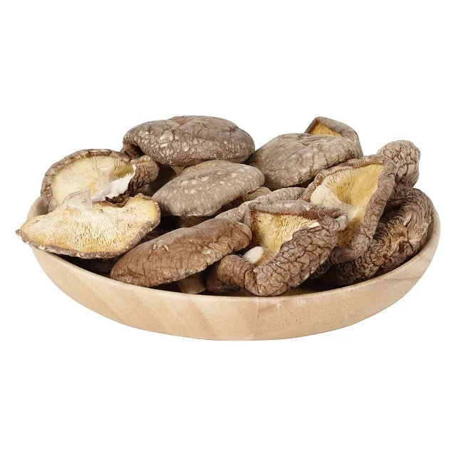 Dry shiitake mushroom for wholesale price