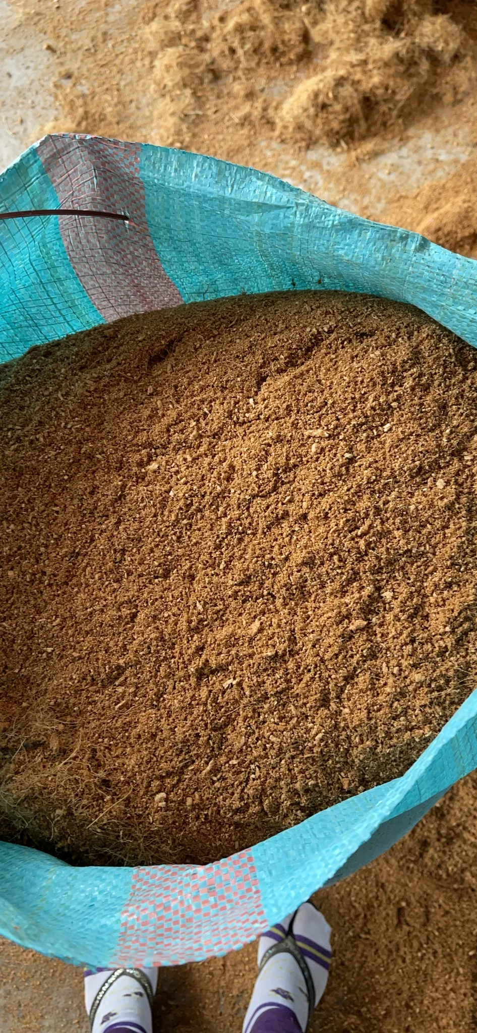 Cocopeat Washed cocopeat 100% Organic Coconut Product Cocopeat made in Viet Nam Garden Pots & Planters