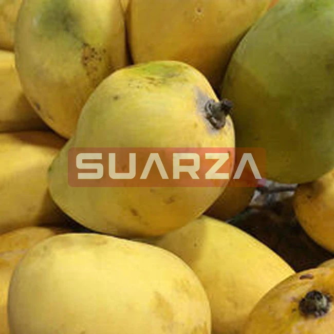 100% organic Indian  badami mango exporter at cheap price from Pakistan to all over the world