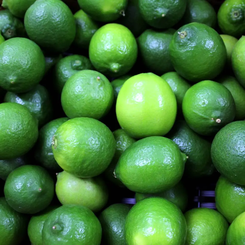  Свежий зеленый лимонный цитрус // Jolene + 8433608915