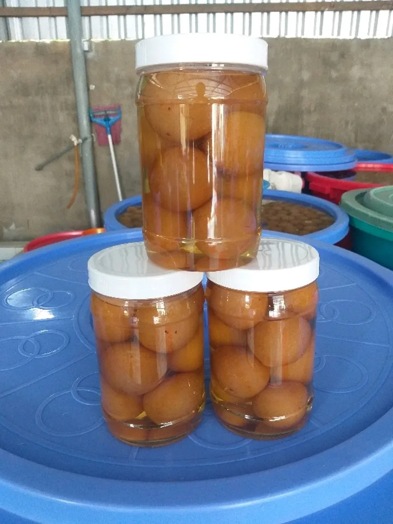 2021 BEST PRICE SALTED LEMON/LIME // MR. ShinCA (+84) 378398089